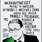 Magnes wypukły