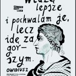 Magnes wypukły